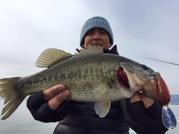 hideup 豌ｸ驥守ｷ丈ｸ譛� 繝悶Ο繧ｰ蜀咏悄 2016/03/17