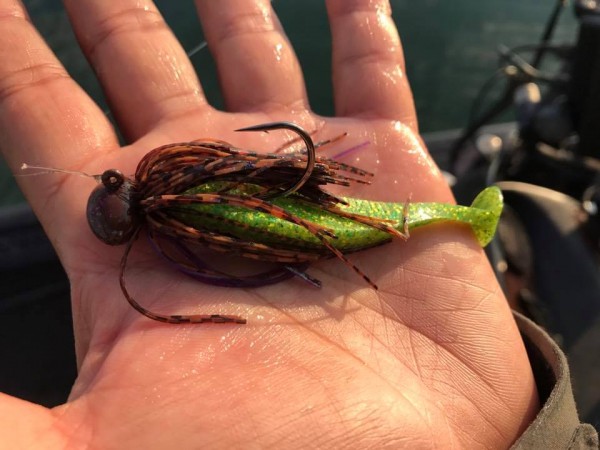 hideup 永野総一朗 ブログ写真 2017/11/27