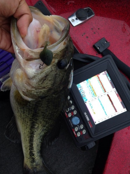 hideup 永野総一朗 ブログ写真 2014/05/15