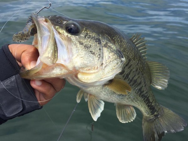 hideup 永野総一朗 ブログ写真 2017/05/06