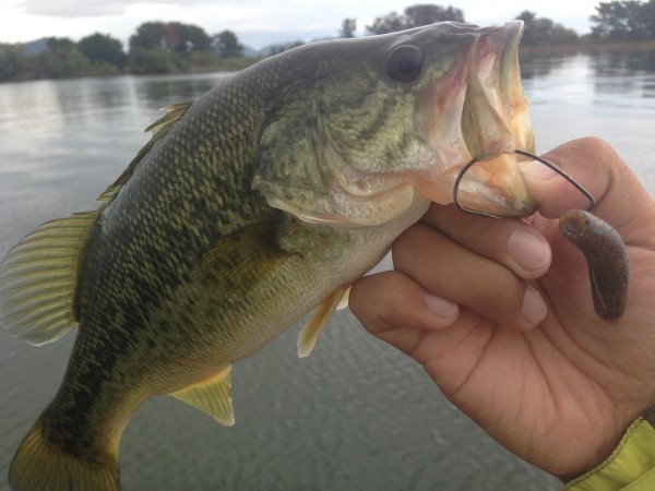 hideup 永野総一朗 ブログ写真 2013/10/09