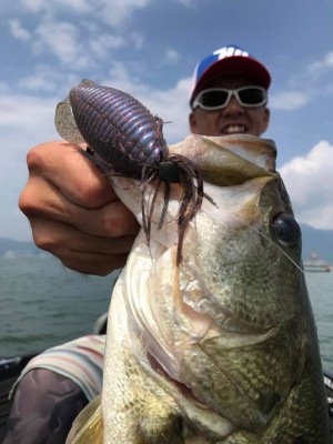 hideup 永野総一朗 ブログ写真 2017/07/13