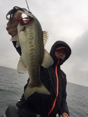 hideup 永野総一朗 ブログ写真 2015/11/18