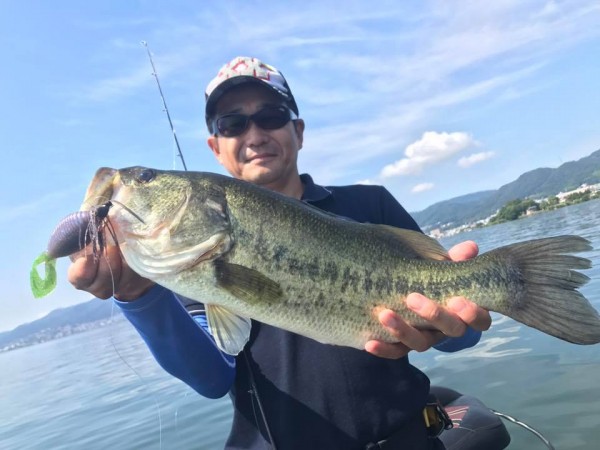 hideup 豌ｸ驥守ｷ丈ｸ譛� 繝悶Ο繧ｰ蜀咏悄 2017/08/02