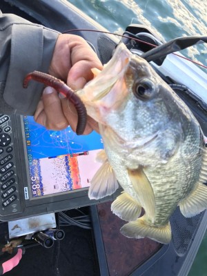 hideup 永野総一朗 ブログ写真 2017/12/02