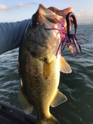 hideup 永野総一朗 ブログ写真 2017/09/19