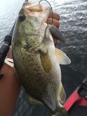 hideup 永野総一朗 ブログ写真 2015/09/07