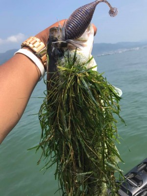 hideup 永野総一朗 ブログ写真 2017/06/24