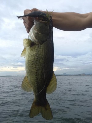 hideup 永野総一朗 ブログ写真 2015/08/06