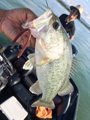 hideup 永野総一朗 ブログ写真 2017/10/09