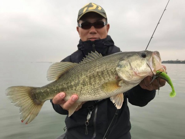 hideup 永野総一朗 ブログ写真 2017/11/08