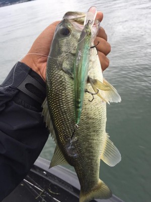 hideup 永野総一朗 ブログ写真 2016/10/01