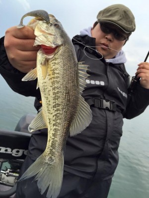 hideup 永野総一朗 ブログ写真 2016/03/18