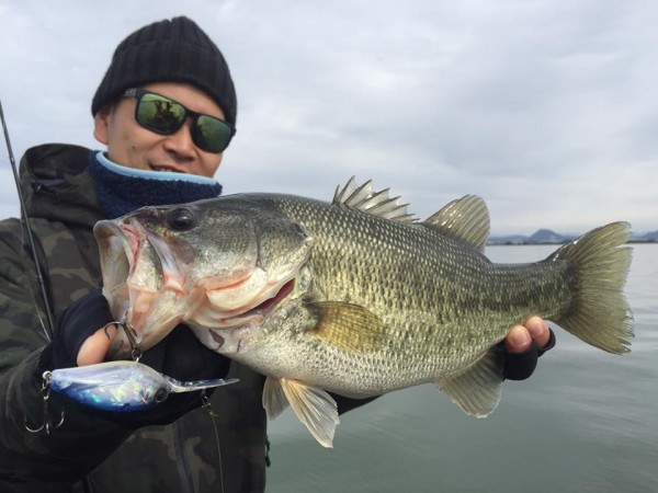 hideup 永野総一朗 ブログ写真 2016/11/11