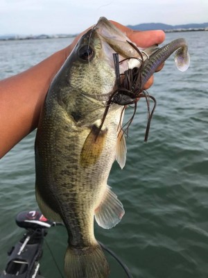 hideup 永野総一朗 ブログ写真 2017/09/14