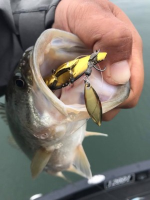 hideup 永野総一朗 ブログ写真 2017/11/18