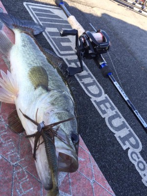 hideup 永野総一朗 ブログ写真 2015/11/04