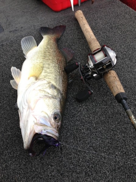 hideup 豌ｸ驥守ｷ丈ｸ譛� 繝悶Ο繧ｰ蜀咏悄 2013/04/03