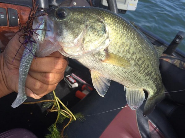 hideup 永野総一朗 ブログ写真 2016/10/08