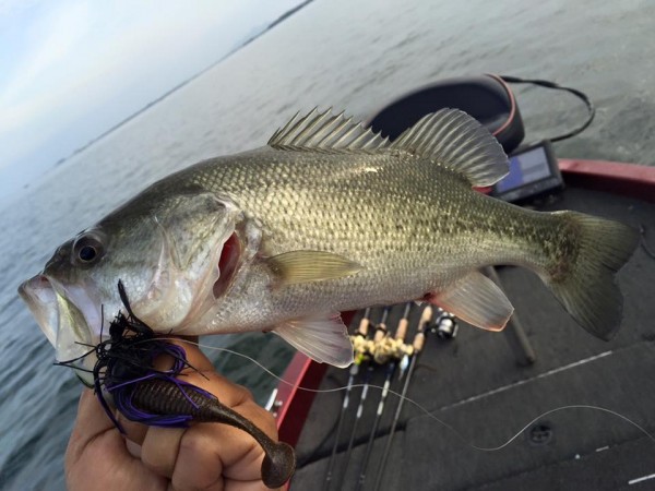 hideup 永野総一朗 ブログ写真 2015/11/21