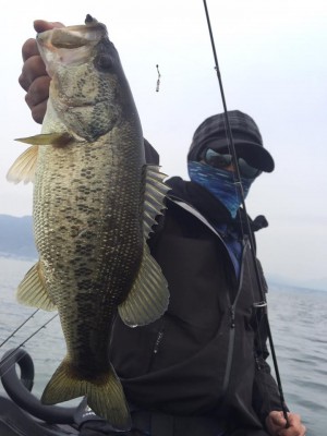 hideup 永野総一朗 ブログ写真 2017/04/17