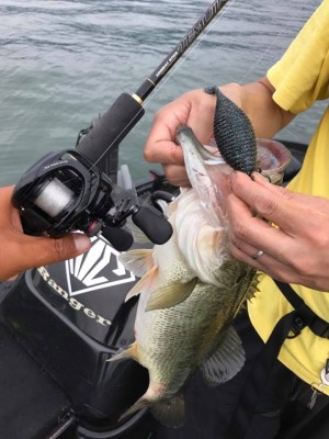 hideup 永野総一朗 ブログ写真 2017/06/25