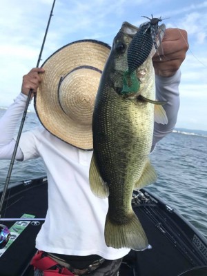 hideup 永野総一朗 ブログ写真 2017/08/02