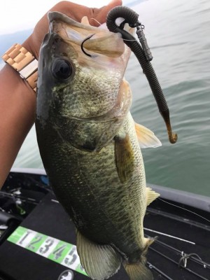 hideup 永野総一朗 ブログ写真 2017/07/10