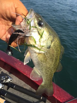 hideup 永野総一朗 ブログ写真 2015/08/11