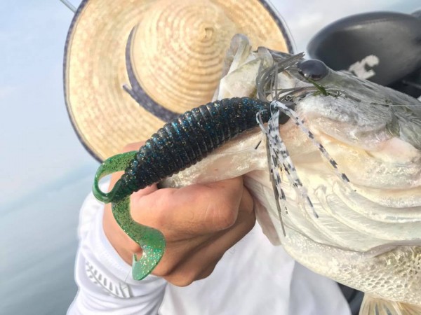 hideup 永野総一朗 ブログ写真 2017/08/02