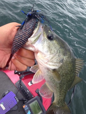 hideup 永野総一朗 ブログ写真 2015/06/19