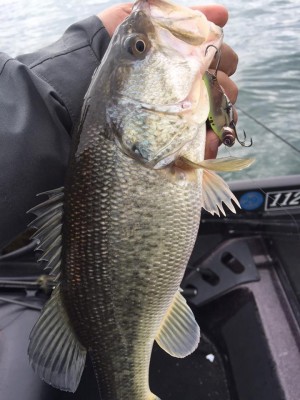 hideup 永野総一朗 ブログ写真 2017/03/01