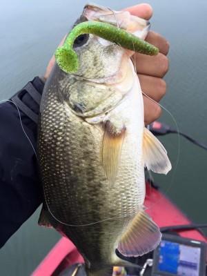 hideup 永野総一朗 ブログ写真 2015/11/13