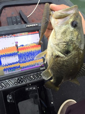 hideup 豌ｸ驥守ｷ丈ｸ譛� 繝悶Ο繧ｰ蜀咏悄 2016/04/23