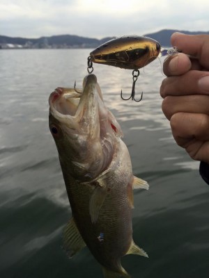 hideup 永野総一朗 ブログ写真 2016/03/06