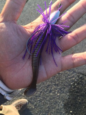 hideup 永野総一朗 ブログ写真 2015/10/02