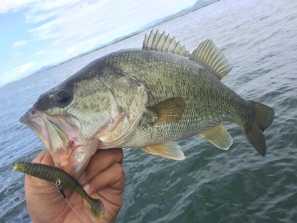 hideup 永野総一朗 ブログ写真 2017/05/17