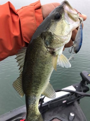 hideup 永野総一朗 ブログ写真 2017/12/06