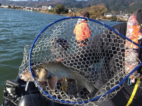 hideup 永野総一朗 ブログ写真 2017/11/25