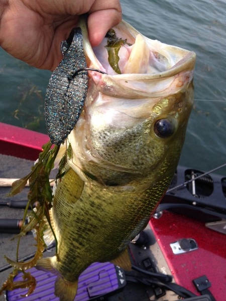 hideup 永野総一朗 ブログ写真 2014/08/02