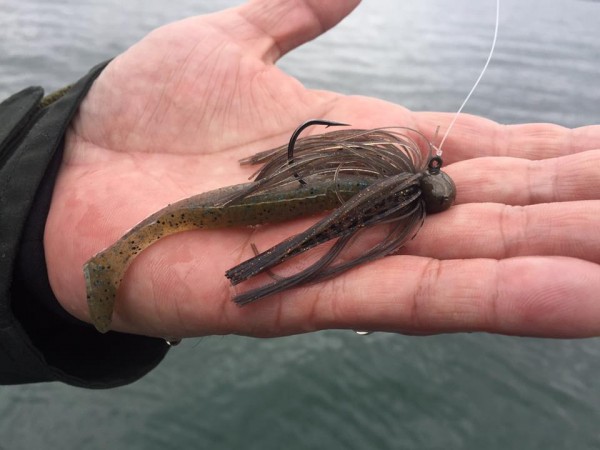 hideup 永野総一朗 ブログ写真 2017/02/08