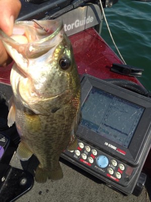 hideup 永野総一朗 ブログ写真 2014/09/17