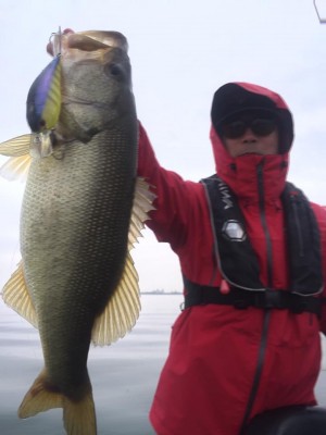 hideup 永野総一朗 ブログ写真 2016/11/09