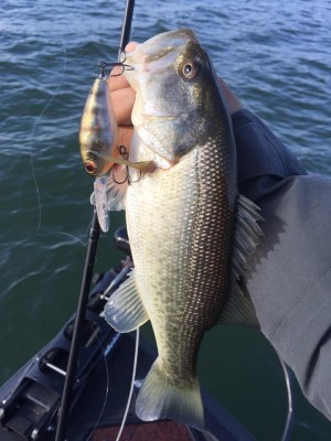 hideup 永野総一朗 ブログ写真 2016/11/16