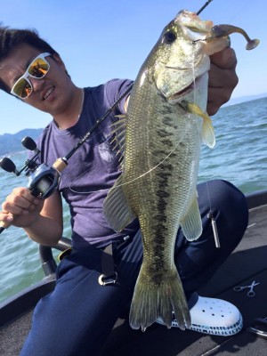 hideup 豌ｸ驥守ｷ丈ｸ譛� 繝悶Ο繧ｰ蜀咏悄 2016/05/07