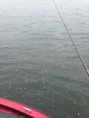 hideup 永野総一朗 ブログ写真 2015/04/07