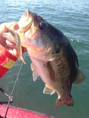 hideup 永野総一朗 ブログ写真 2015/05/14