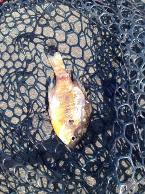 hideup 永野総一朗 ブログ写真 2015/03/24