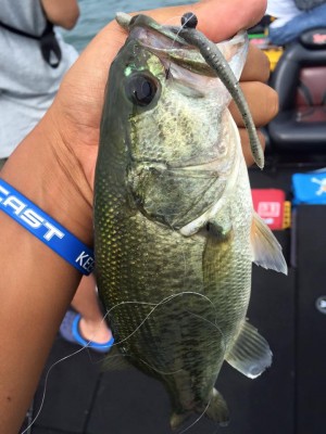 hideup 永野総一朗 ブログ写真 2016/09/18