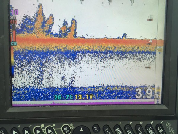 hideup 永野総一朗 ブログ写真 2016/09/04